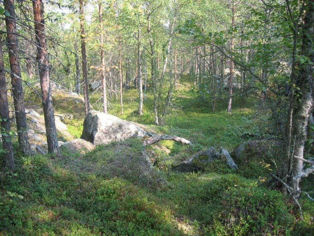 Виллы Saarilandia Савонлинна